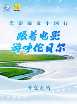 久久久精品中文字幕